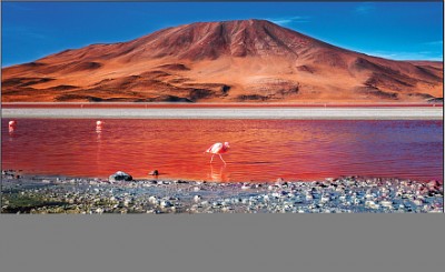 Телевизор Samsung 75 серия 7 Crystal UHD 4K Smart TV TU7100&quot;